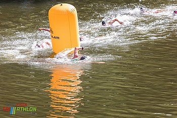Image-1766